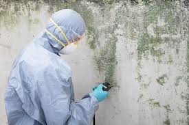 Best Mold Remediation for Healthcare Facilities  in Odessa, MO